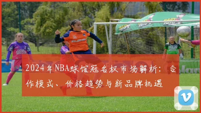 2024年NBA球馆冠名权市场解析：合作模式、价格趋势与新品牌机遇