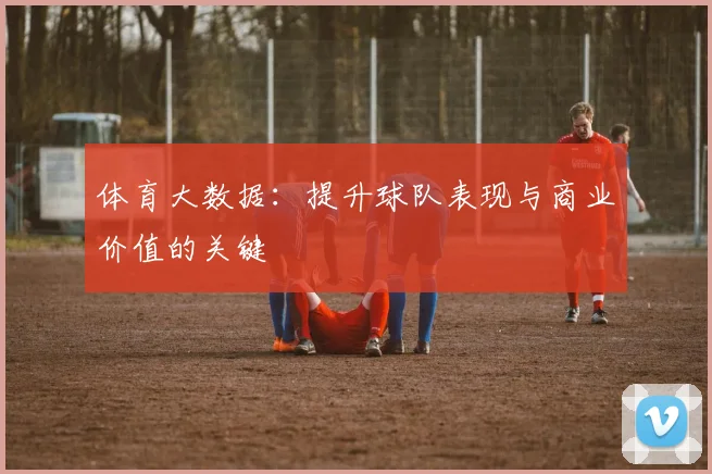 体育大数据：提升球队表现与商业价值的关键